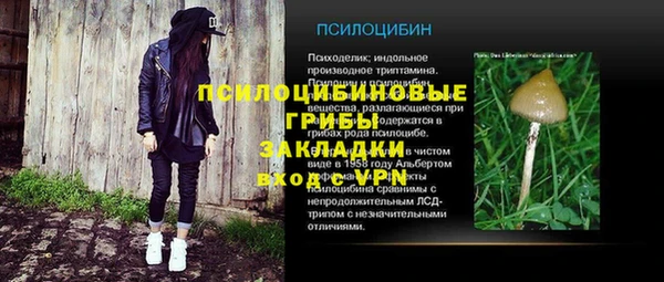 герыч Бородино
