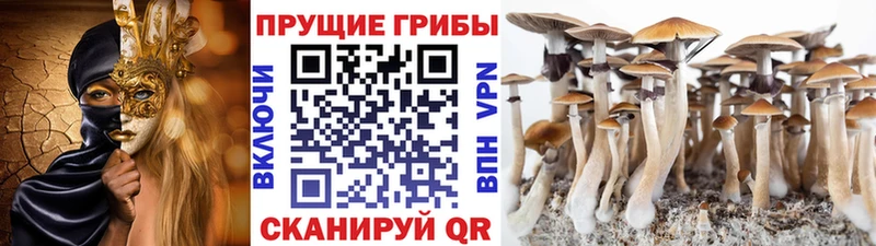 Псилоцибиновые грибы мухоморы  MEGA ссылка  Обнинск 